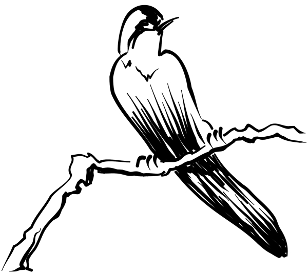 各種鳥類鳥動物矢量素材EPS格式1107
