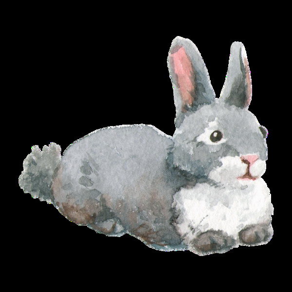 彩绘毛绒玩具兔子装饰图案