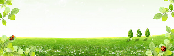 清新綠色樹葉淘寶全屏banner背景