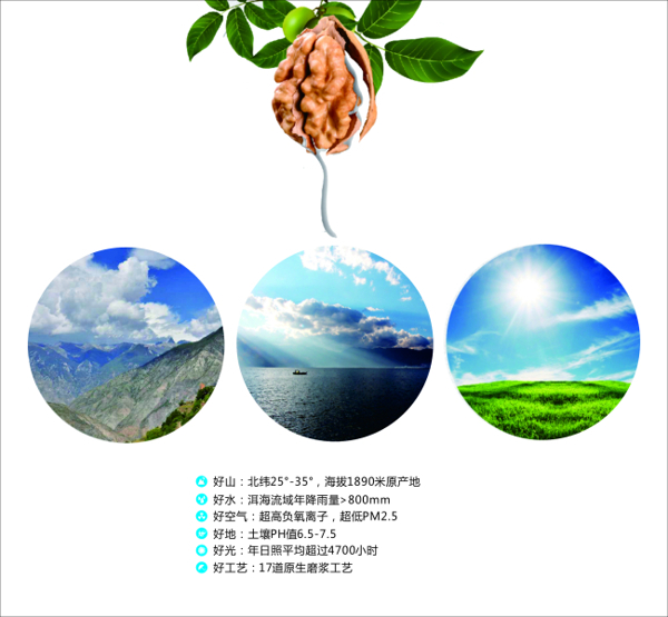 磨漿核桃乳海報