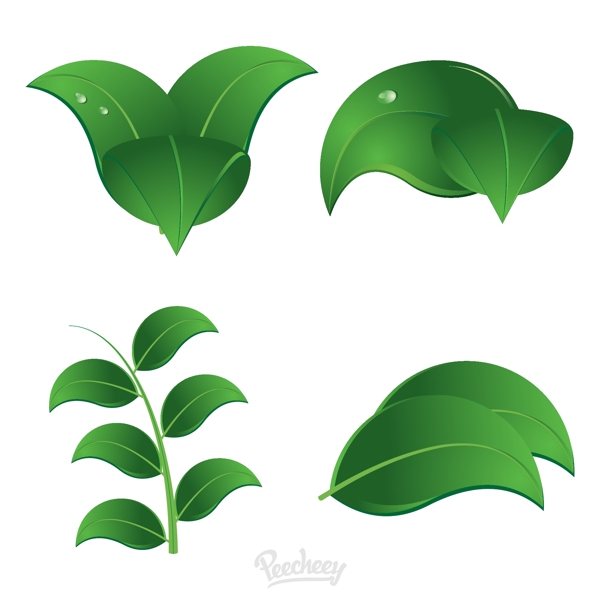 綠色植物