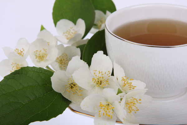 一杯茶