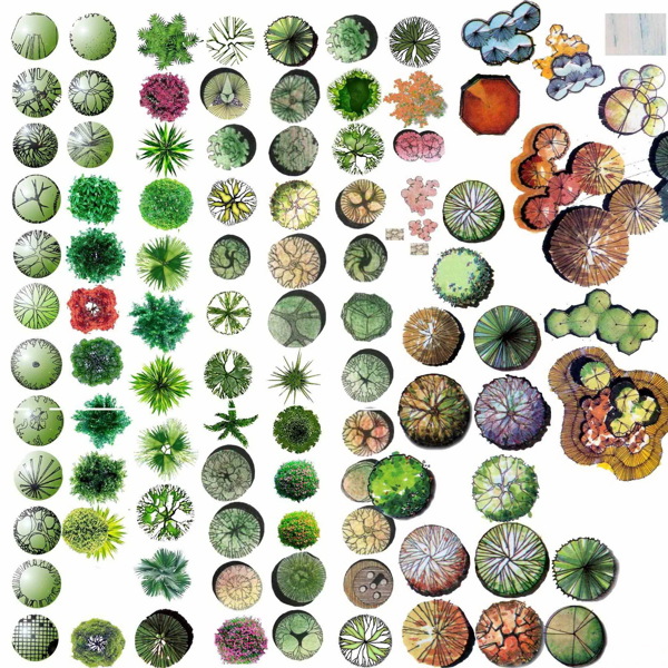 ps平面植物素材图片