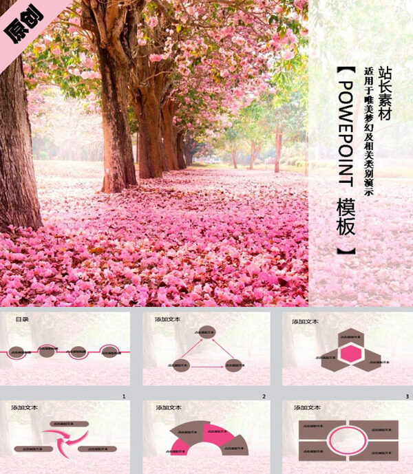 櫻花飛舞
