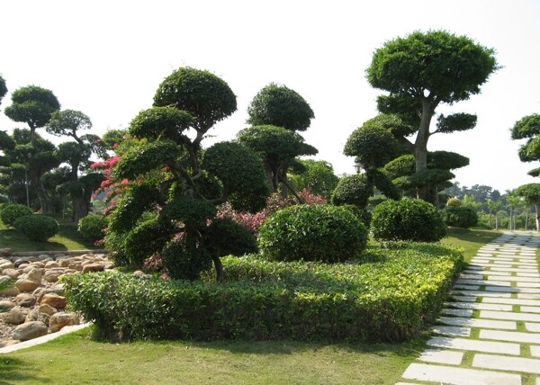 景觀園林圖片
