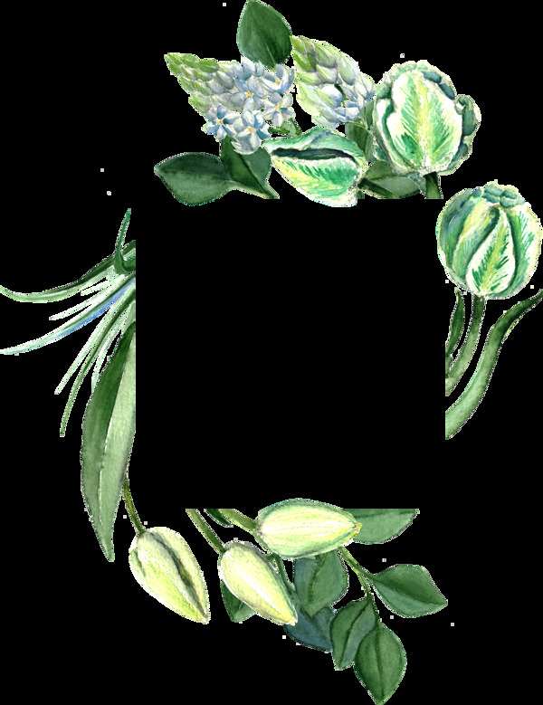 清新綠色植物透明素材