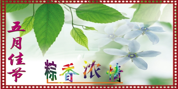 端午節(jié)圖片