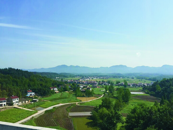 田园风光