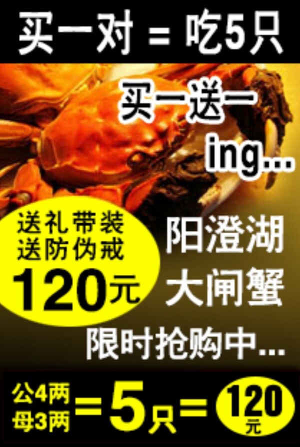 陽澄湖大閘蟹淘寶淘寶鉆展圖圖片