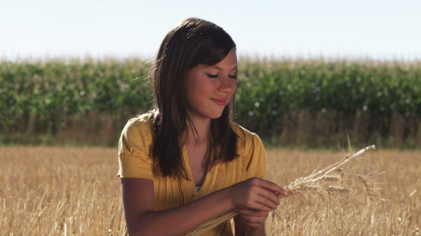 女孩坐在麦田在前面的玉米3股票的录像视频免费下载
