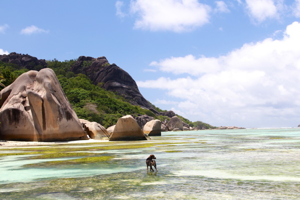 美丽的海滩风景图片