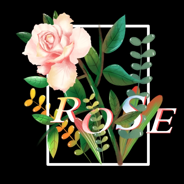 手绘风春天520表白用粉色玫瑰rose
