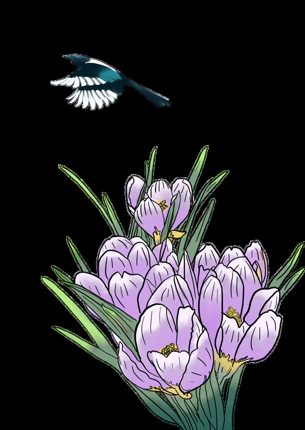 工笔画紫色的鲜花和小鸟