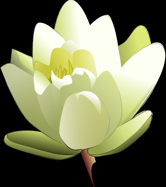 利蘭探水百合的剪輯藝術(shù)