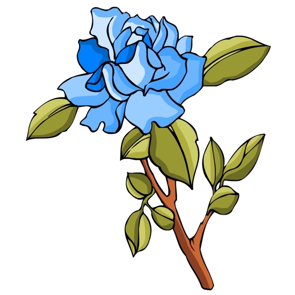 花卉古典插畫