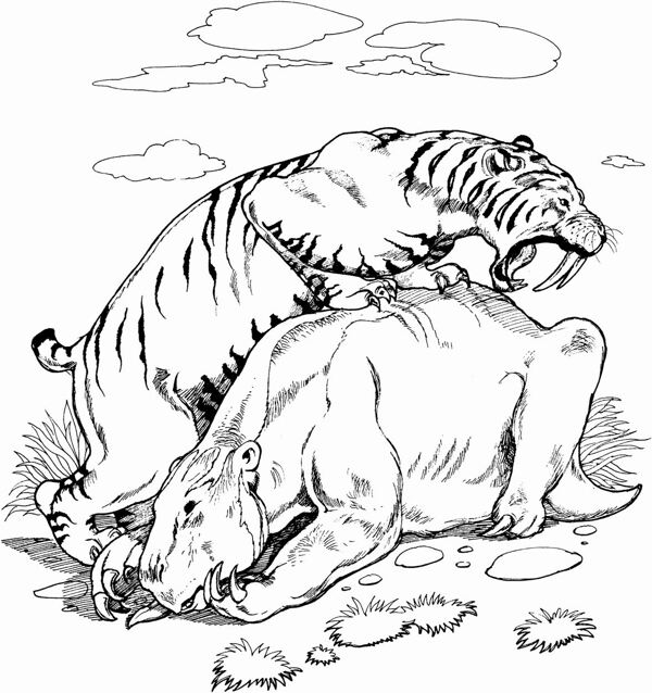 手繪動物畫動物素描