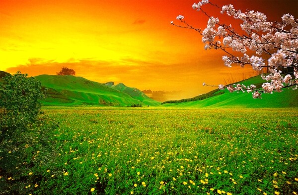 美麗風(fēng)景