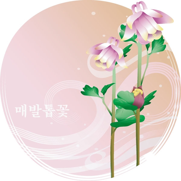 金錢艾活血丹