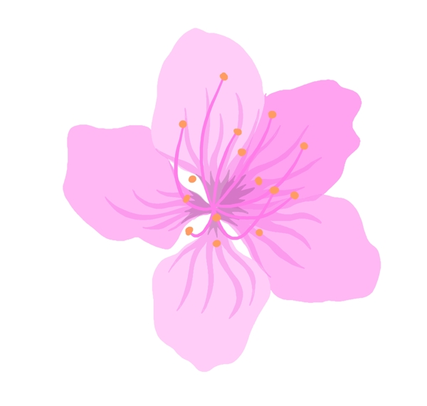 粉色花朵植物插畫