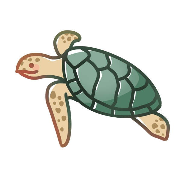 海洋生物海龟