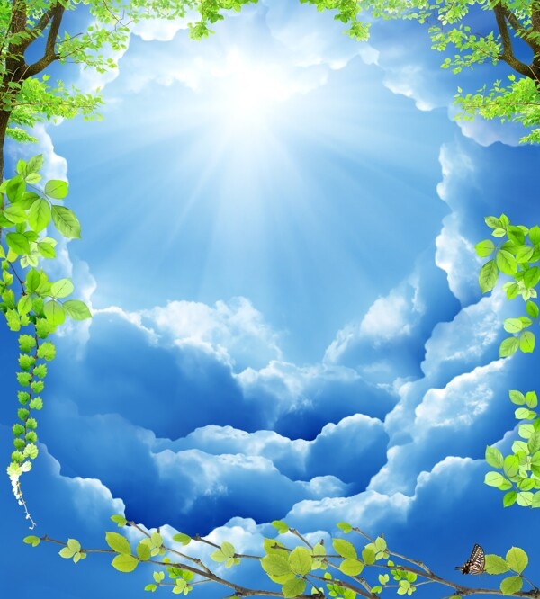 蓝天白云绿叶背景图片