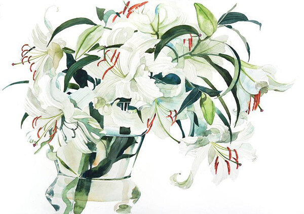 位圖植物插畫(huà)柘植彩子藝術(shù)效果水彩免費(fèi)素材