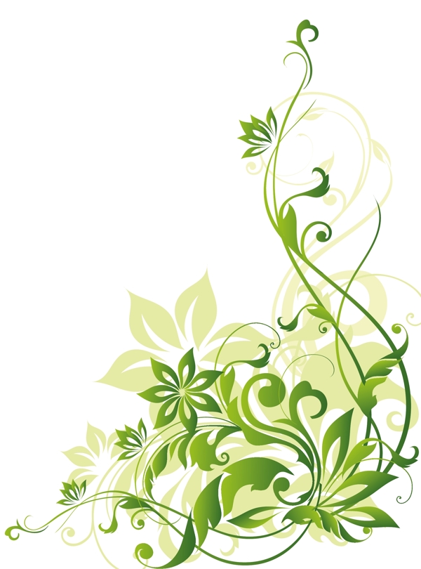 绿色植物花朵纹理边框