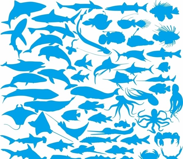 海洋动物剪影