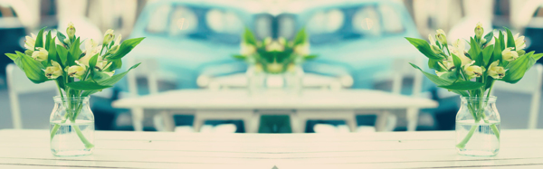綠色植物小清新banner