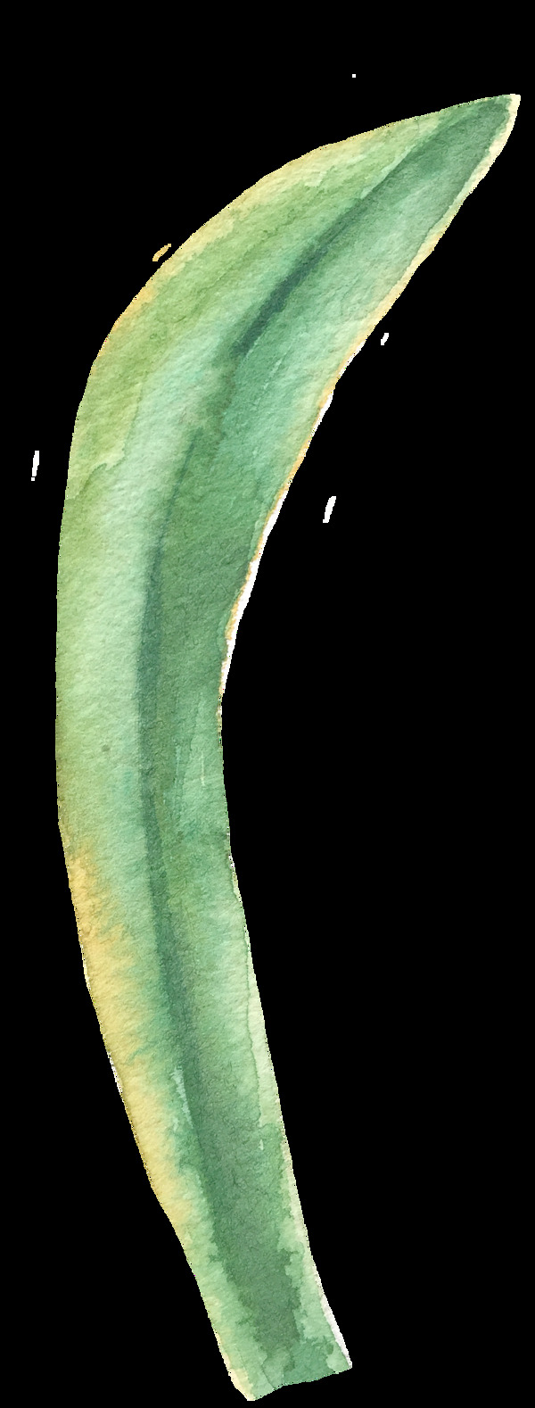 泛黃花葉卡通透明素材