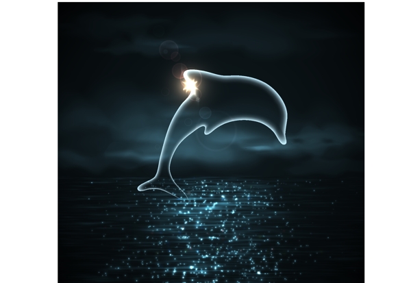 夜晚大海里的海豚插画