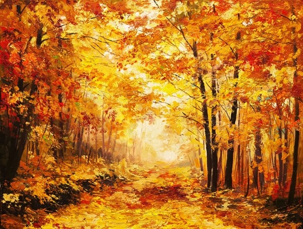 秋天树林小路