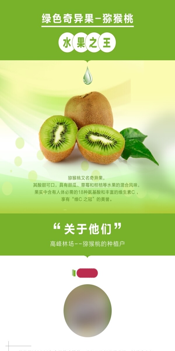 獼猴桃淘寶眾籌設(shè)計(jì)