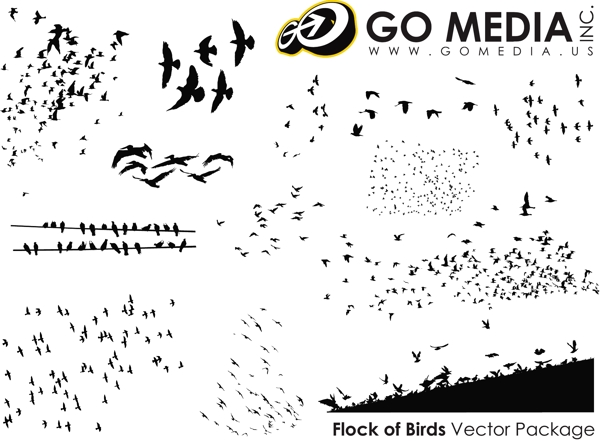 GoMedia出品的鸟类剪影矢量素材