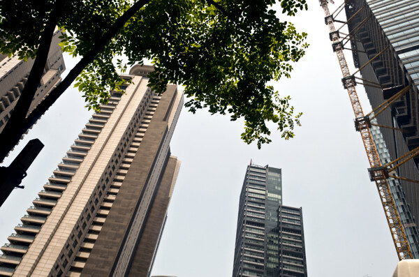 中糧海景一號圖片