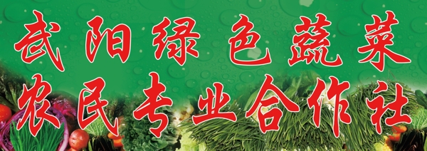綠色蔬菜門頭圖片