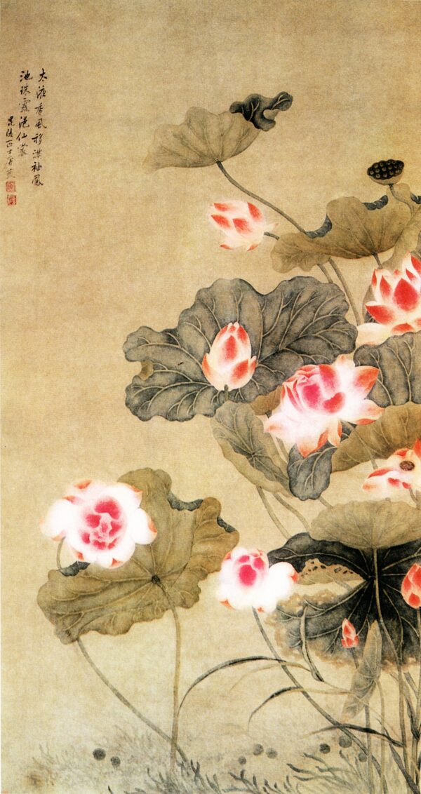 荷花圖唐艾圖片