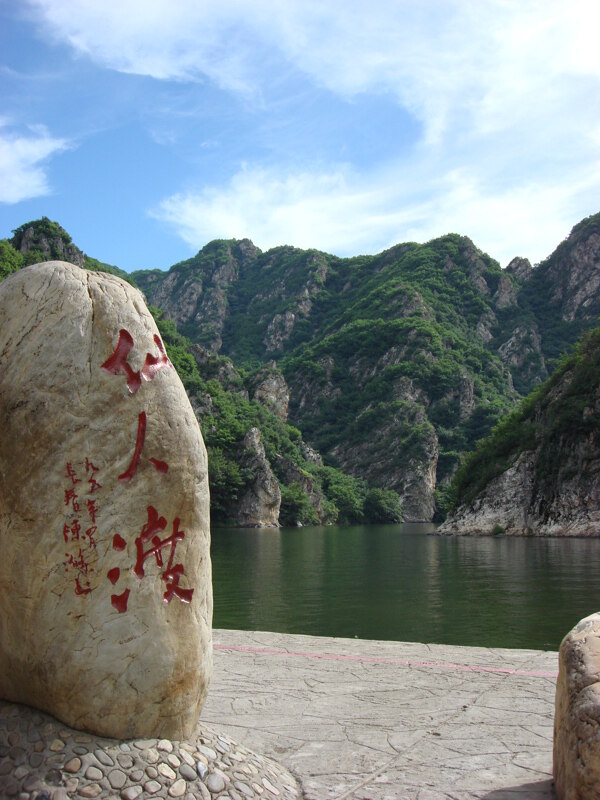 樹植物水風(fēng)景