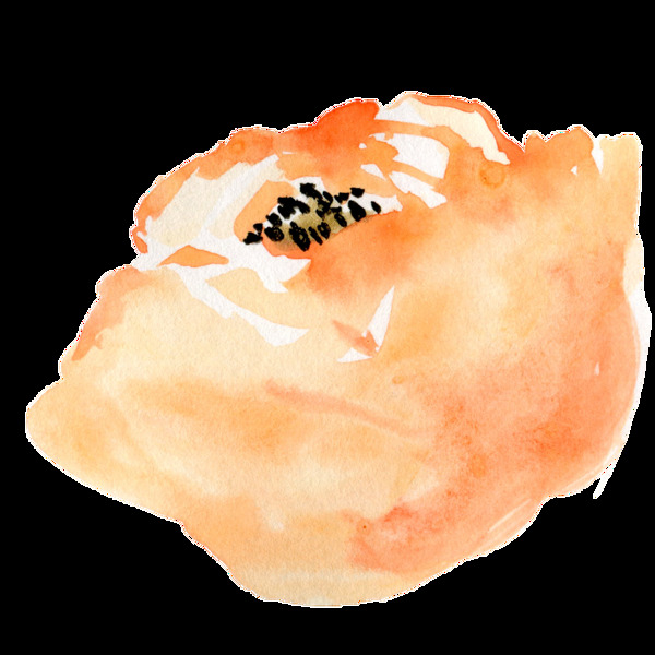 橙黄花蕊透明装饰素材