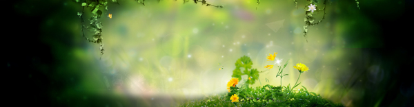 化妝品春季主題banner
