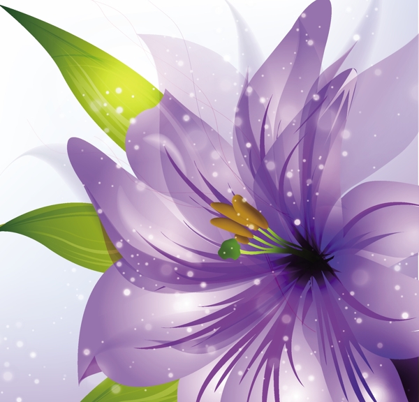 百合花