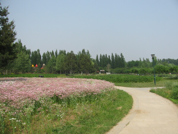 小路圖片