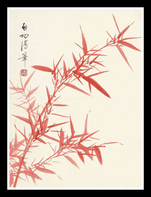 红竹图片