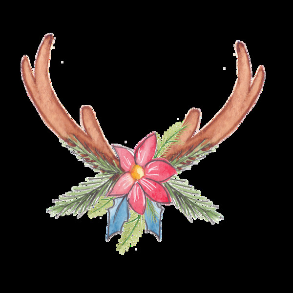 動(dòng)物觸角花卉png透明素材