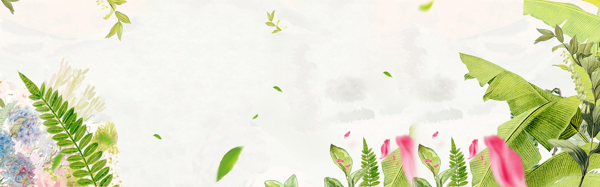 夏季綠色簡約葉子淘寶全屏banner背景