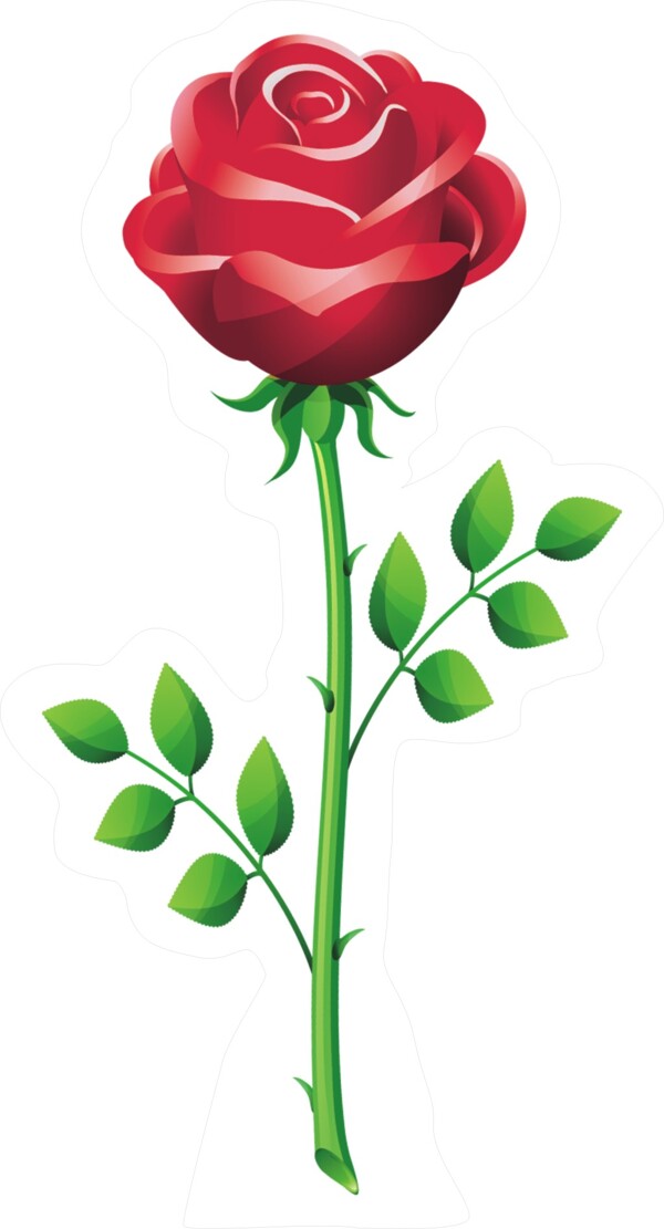 玫瑰花