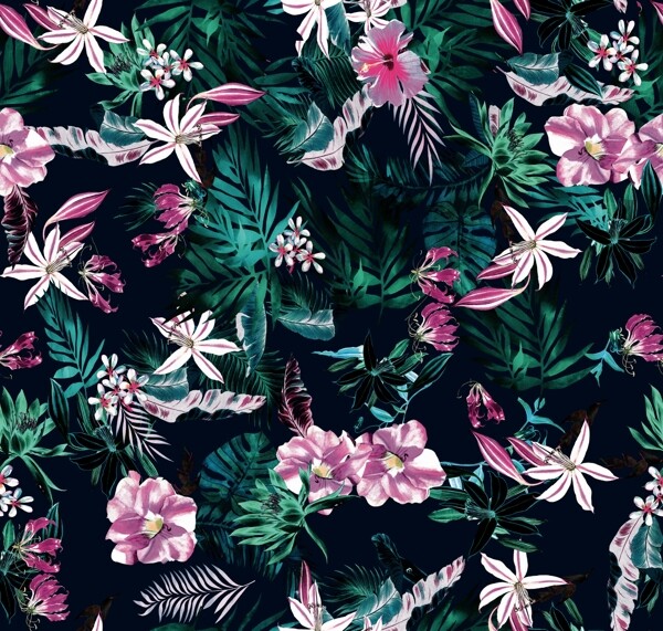 熱帶花