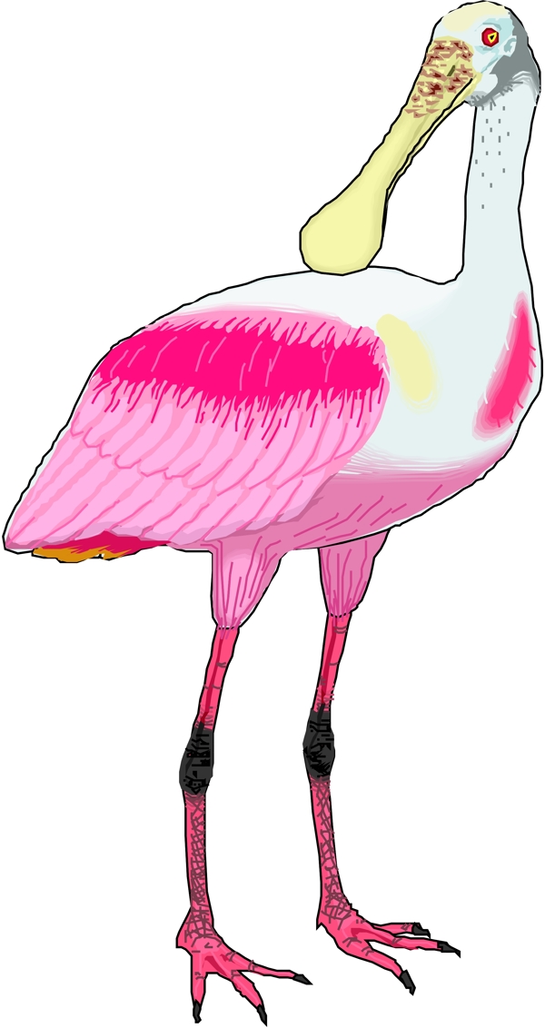 矢量逼真鳥類動物13