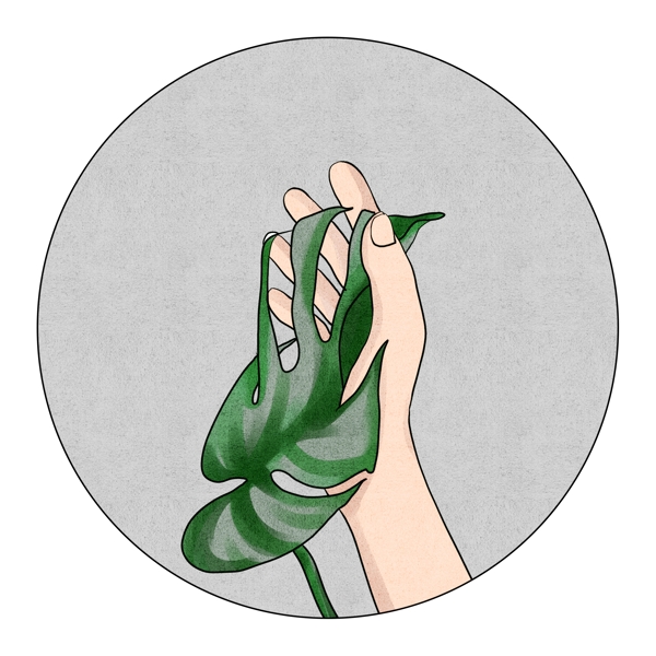植物水彩手繪樹葉