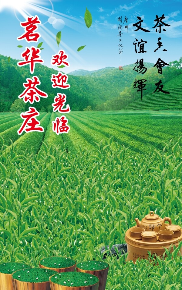茶園